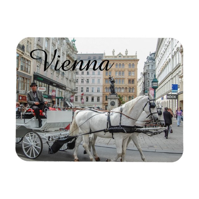 Imán Viena Austria (Horizontal)
