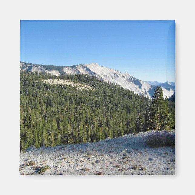 Imán View from Olmstead Point, Yosemite, CA (Frente)