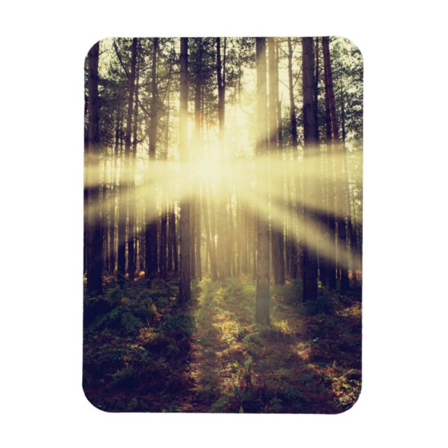 Imán Vigas de sol forestales (Vertical)