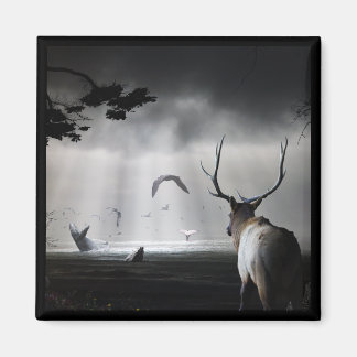 Imán Vigilancia de ballenas