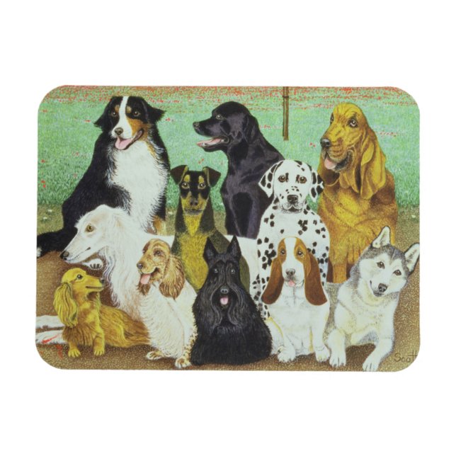 Imán Vigilancia de perros (Horizontal)