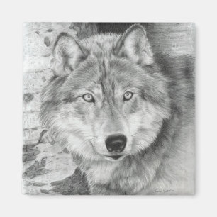 Imán vigilante del lobo de los ojos