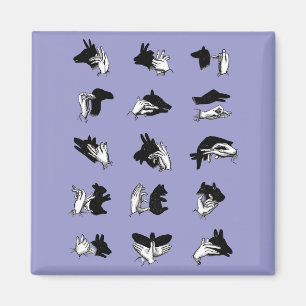 Imán Vimiantes Juegos de Sombra de Marionetas de Mano