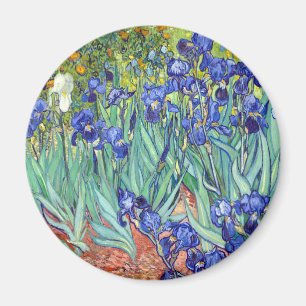 Imán Vincent van Gogh 1889 Irises