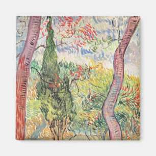 Imán Vincent van Gogh el   el jardín del hospital de