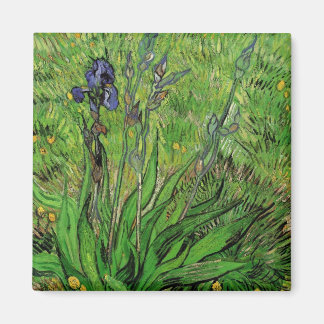 Imán Vincent van Gogh - Iris