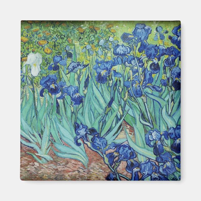 Imán Vincent van Gogh Irises (Frente)