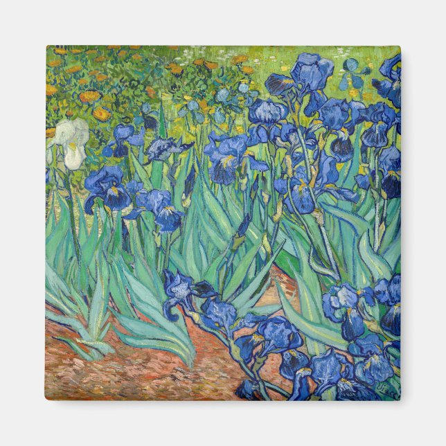 Imán Vincent Van Gogh - Irises (Frente)
