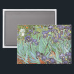 Imán Vincent van Gogh - Irises<br><div class="desc">Irises (1889) de Van Gogh es una pintura vintage post impresionsionismo de arte fino de naturaleza floral. Un grupo de iris morados con barba y una sola flor blanca de iris que crece en un jardín. Fue una de sus primeras pinturas cuando estuvo en el asilo en Saint-Remy-de-Provence. En 1987...</div>