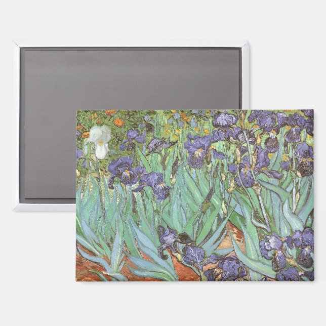 Imán Vincent van Gogh - Irises (Anverso/Reverso)
