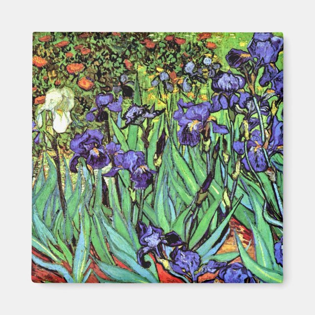Imán Vincent Van Gogh - Irises - Bella Artes de los ama (Frente)