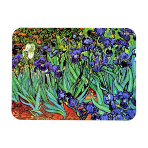Imán Vincent Van Gogh - Irises - Bella Artes de los ama
