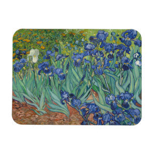 Imán Vincent Van Gogh, Irises, Les Iris