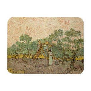 Imán Vincent van Gogh - Mujeres recolectando aceitunas