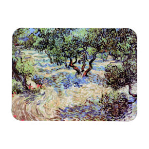 Imán Vincent Van Gogh - Olivar Arte de Bellas Artes