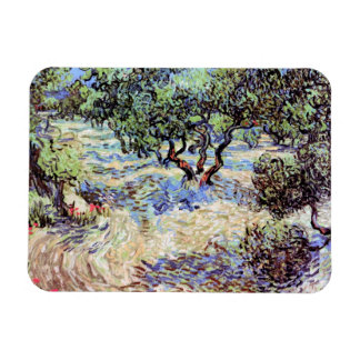 Imán Vincent Van Gogh - Olivar Arte de Bellas Artes