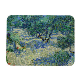 Imán Vincent van Gogh - Olive Orchard