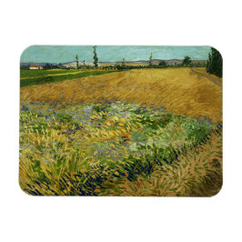 Imán Vincent Van Gogh, Wheatfield, Korenveld