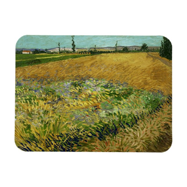 Imán Vincent Van Gogh, Wheatfield, Korenveld (Horizontal)