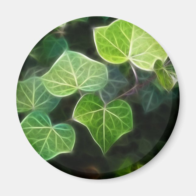 Imán Vine 4 (Frente)