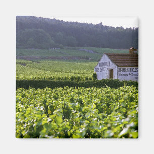 Imán viñedo Chambertin Clos de Beze Grand Cru con