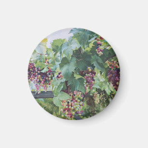 Imán Viñedo del Valle del Loira – Pintura de Uvas Franc