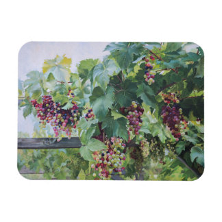 Imán Viñedo del Valle del Loira – Pintura de Uvas Franc