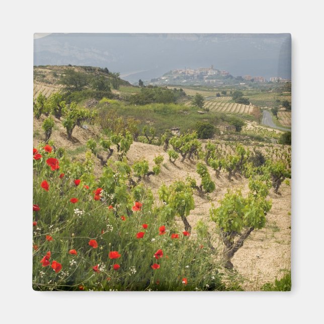 Imán Viñedos cerca de Laguardia, capital de La Rioja (Frente)