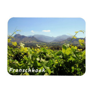Imán Viñedos de Franschhoek