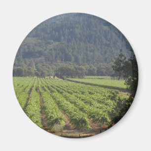 Imán Viñedos de Napa Valley I