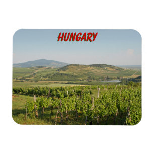 Imán viñedos de Tokaj, Hungría