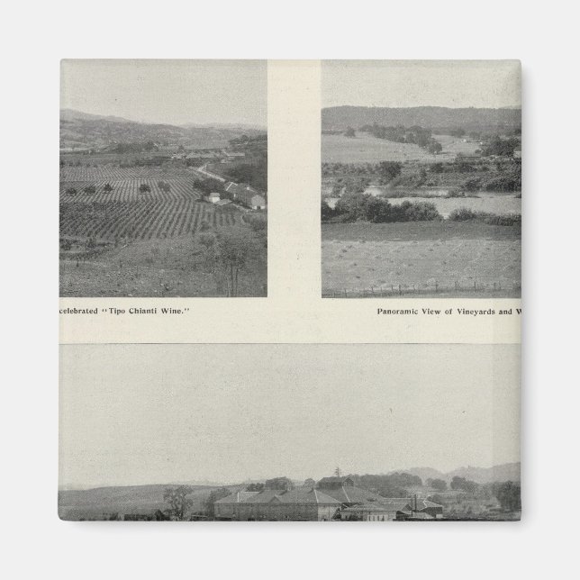 Imán Viñedos Modelo, California (Frente)