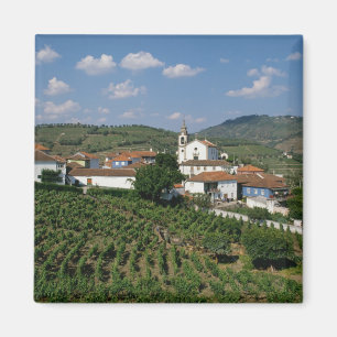 Imán Viñedos, Pueblo de San Miguel, Douro