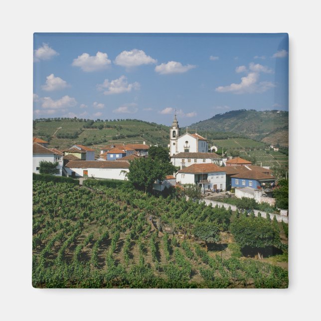 Imán Viñedos, Pueblo de San Miguel, Douro (Frente)