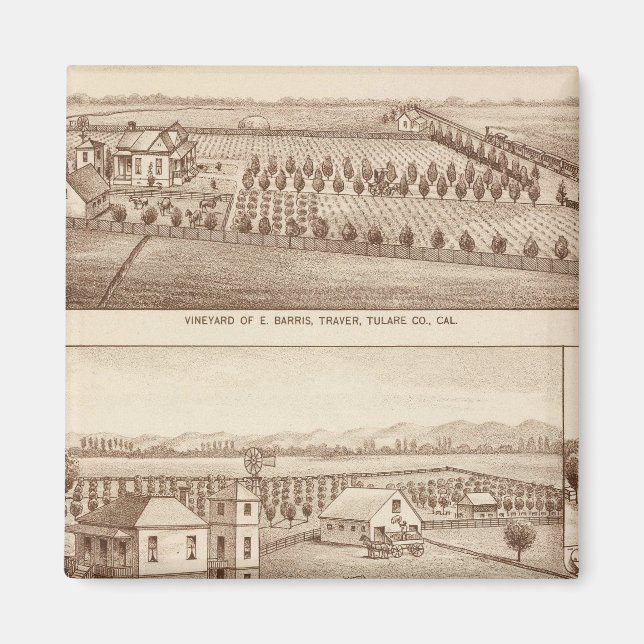 Imán Viñedos, ranchos, Tulare Co, Calif (Frente)