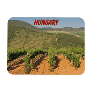 Imán Viñedos Tokaj, Hungría