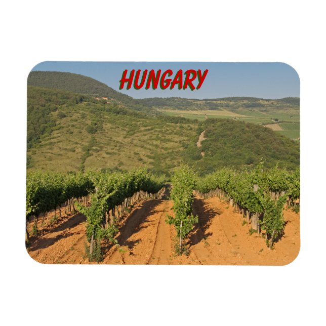 Imán Viñedos Tokaj, Hungría (Horizontal)