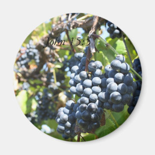 Imán Vineyard John 15:5 Magnet