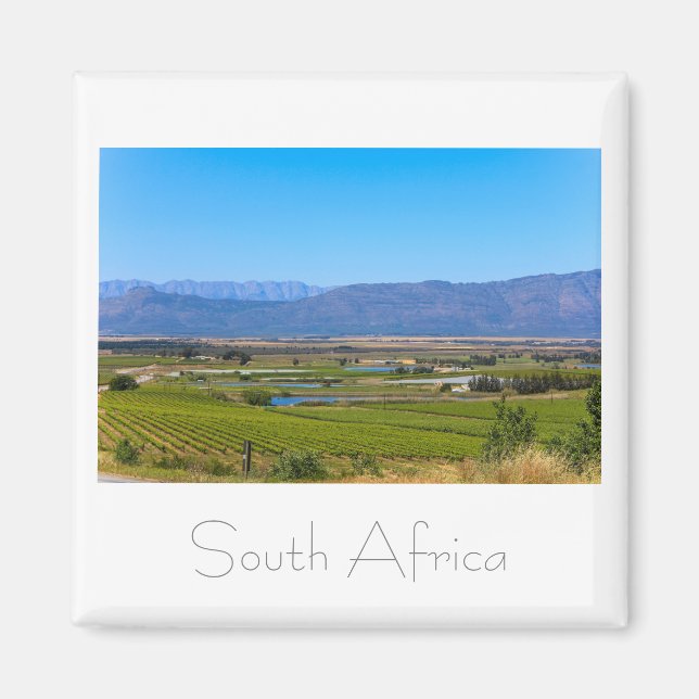 Imán Vineyard Landscape South Africa SA Magnet (Frente)