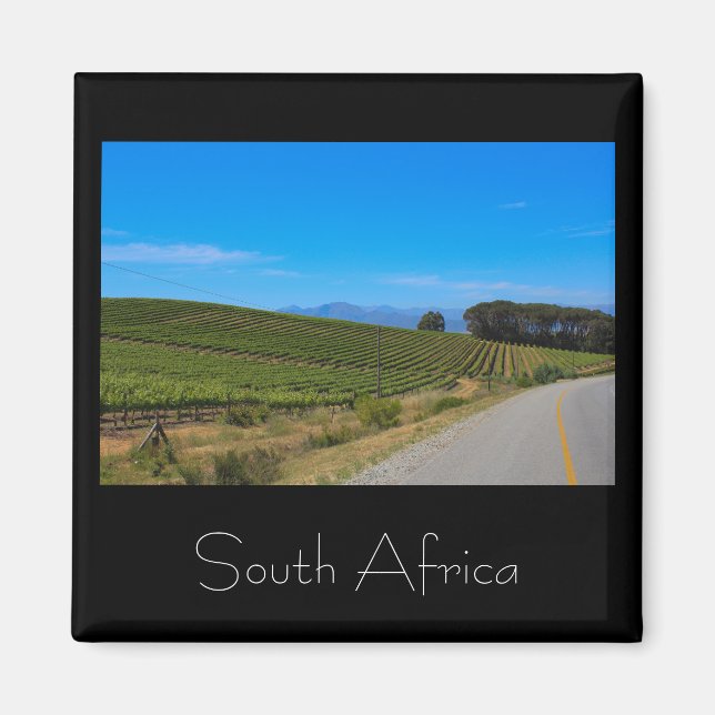 Imán Vineyard Landscape South Africa SA Magnet (Frente)