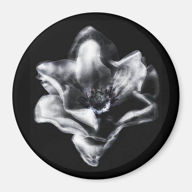 Imán Vinny (Frente)