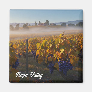 Imán Vino de Napa Valley California