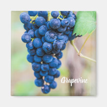 Vino de uva para regalo de viticultor de vino