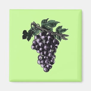 Imán Vinos de uva