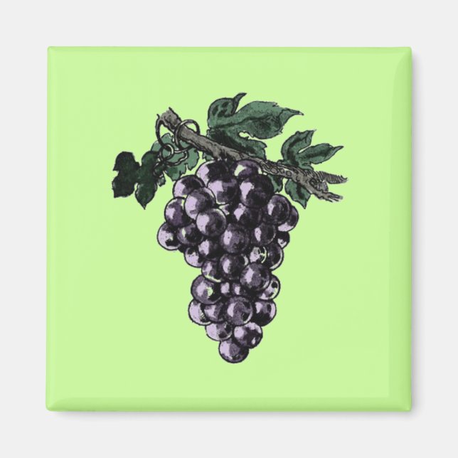 Imán Vinos de uva (Frente)