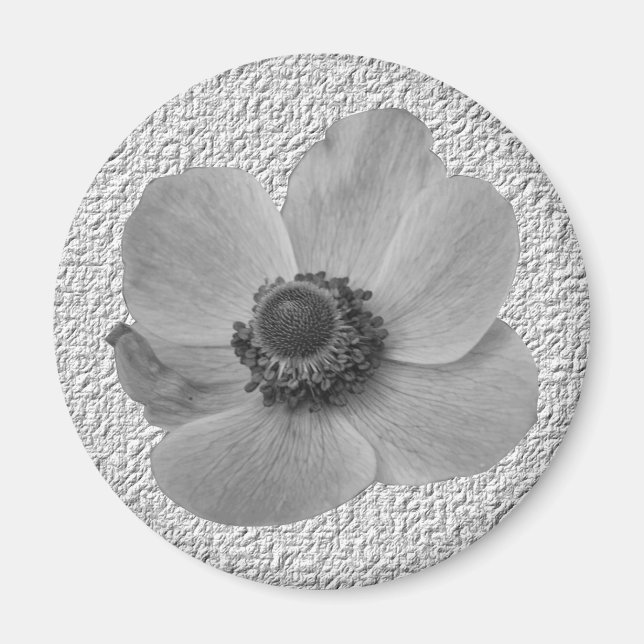 Imán Vintage Anemone Magnet (Frente)