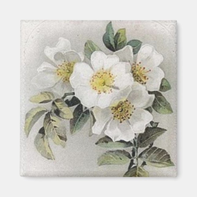 Imán Vintage Apple Blossom Magnet (Frente)