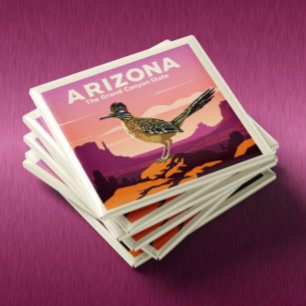 Imán Vintage Arizona