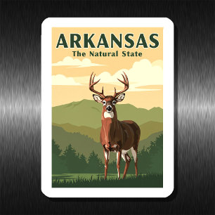 Imán Vintage Arkansas
