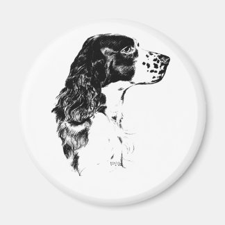 Imán Vintage Art Inglés Springer Spaniel Dog Magnet